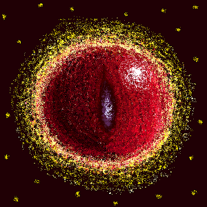 TrackerOrb2