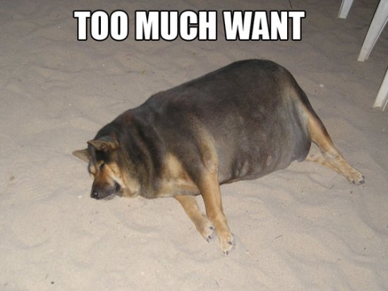 attachment.php