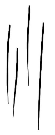 attachment.php