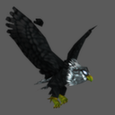 eagle.jpg
