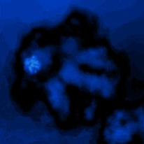 [002097]