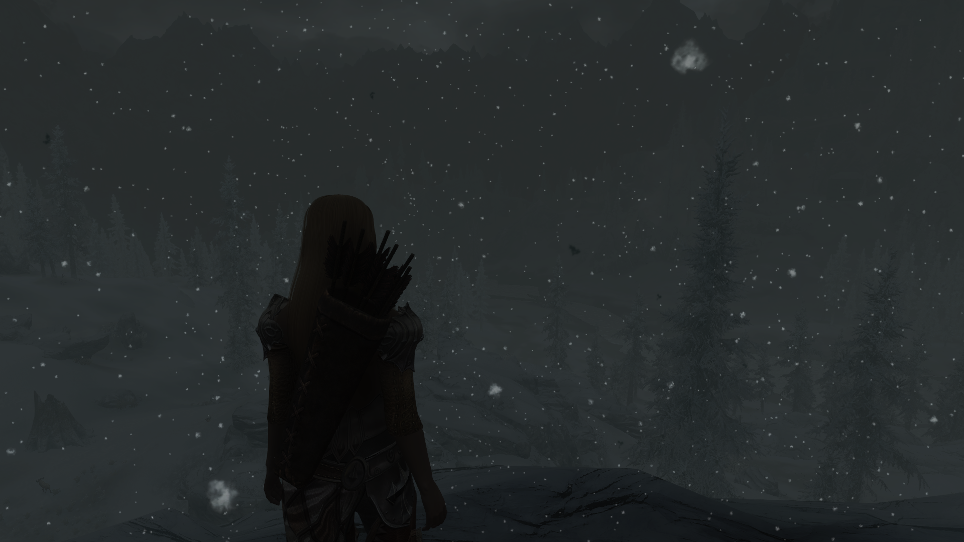 11 SnowNight