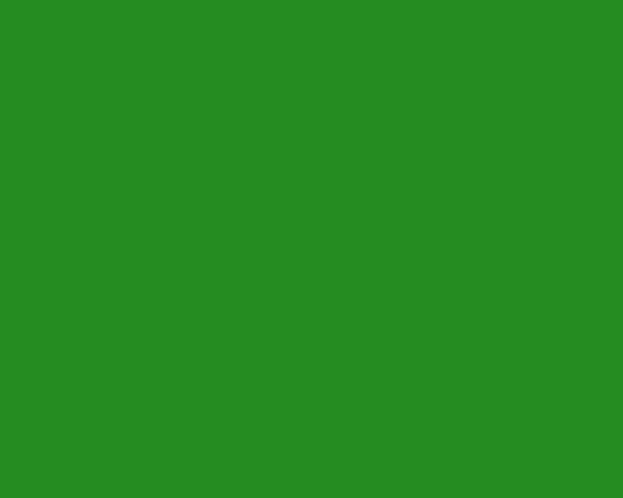 1280x1024 forest green for web solid color background