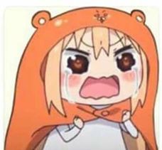 13267936 1546189429009821 5786653633166433136 n