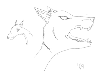 2 Animals
