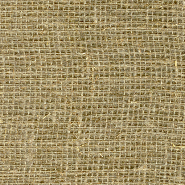 6481canvas texture