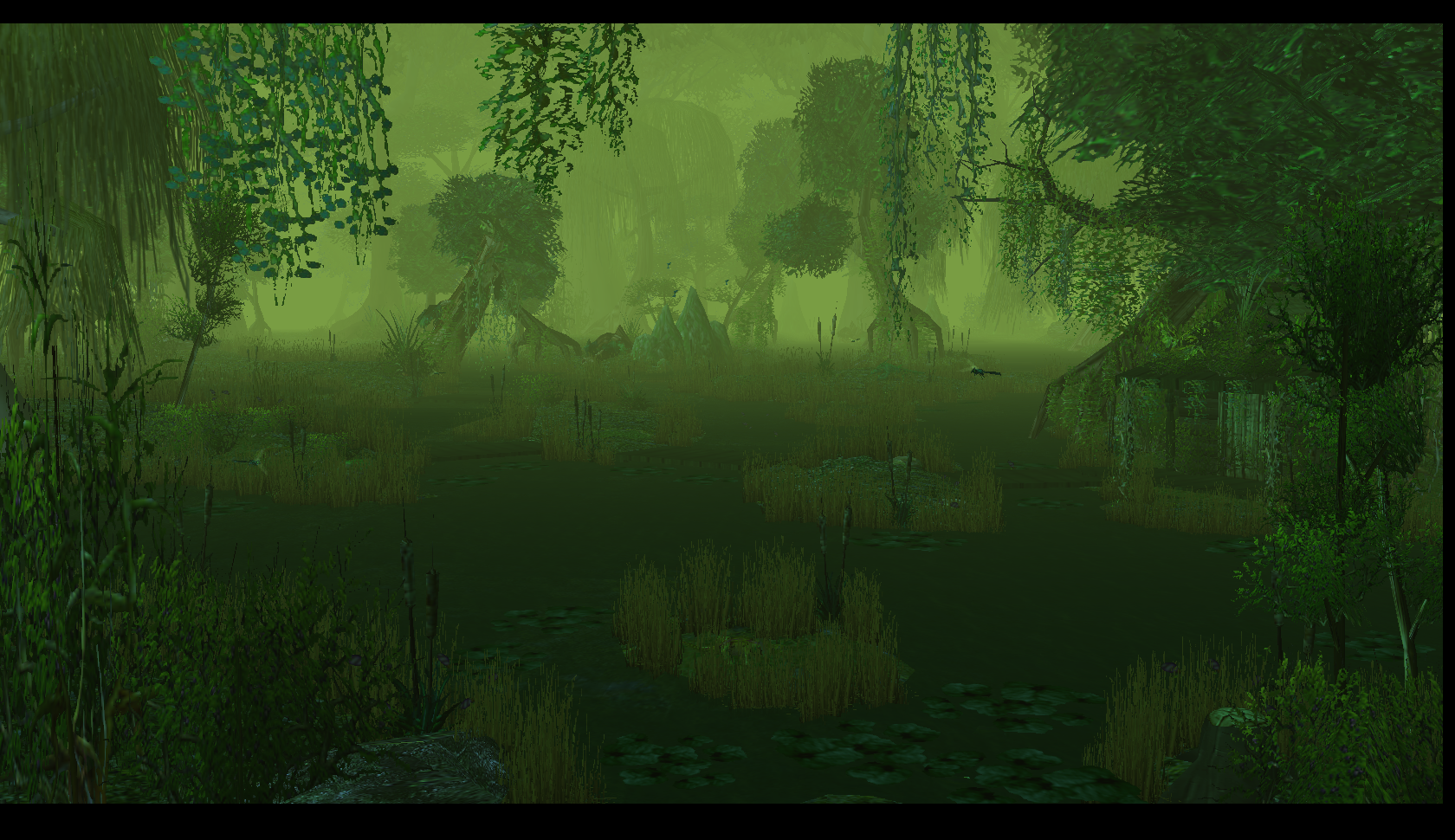 8. Swamp2