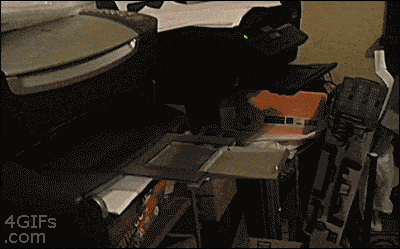 85710.gif