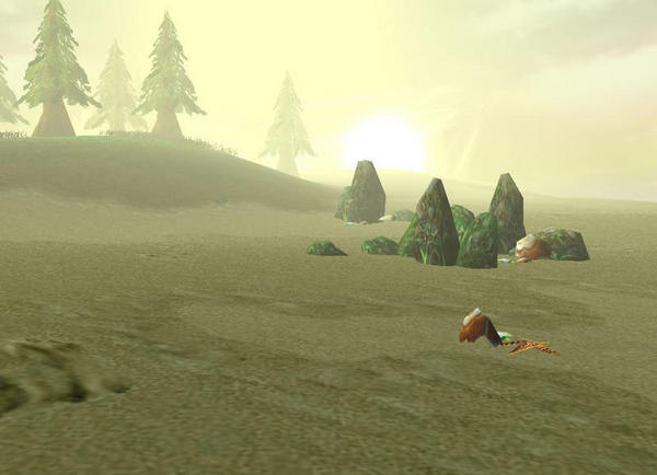 A beach at dawn.