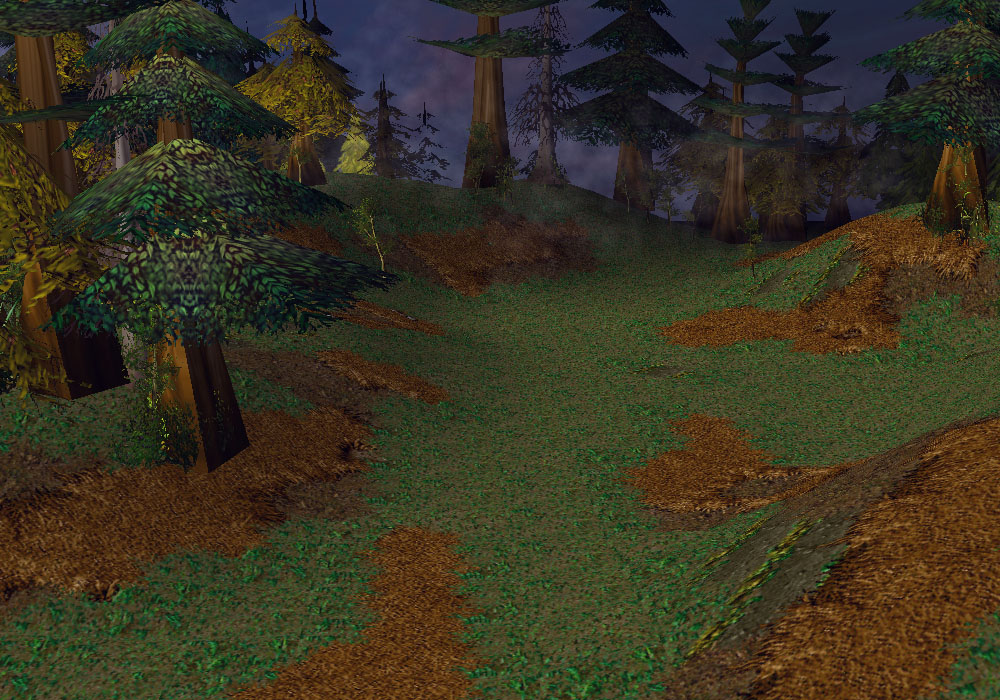 A Forest