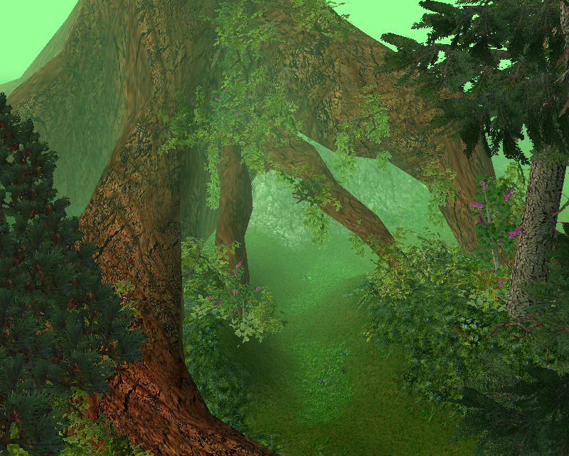 A giant tree in Dillianhor. The path under the tree leads to the south.