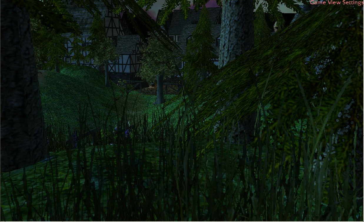 A path to the village
