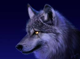 A profile picture.