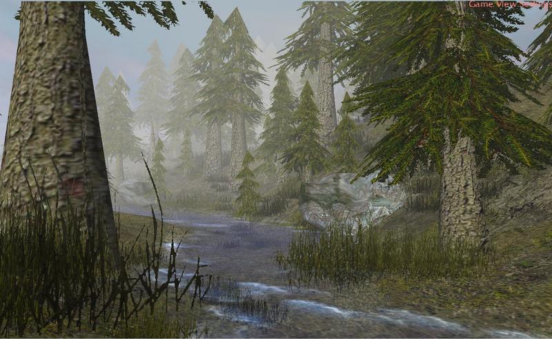 A stream meandering through the forest.