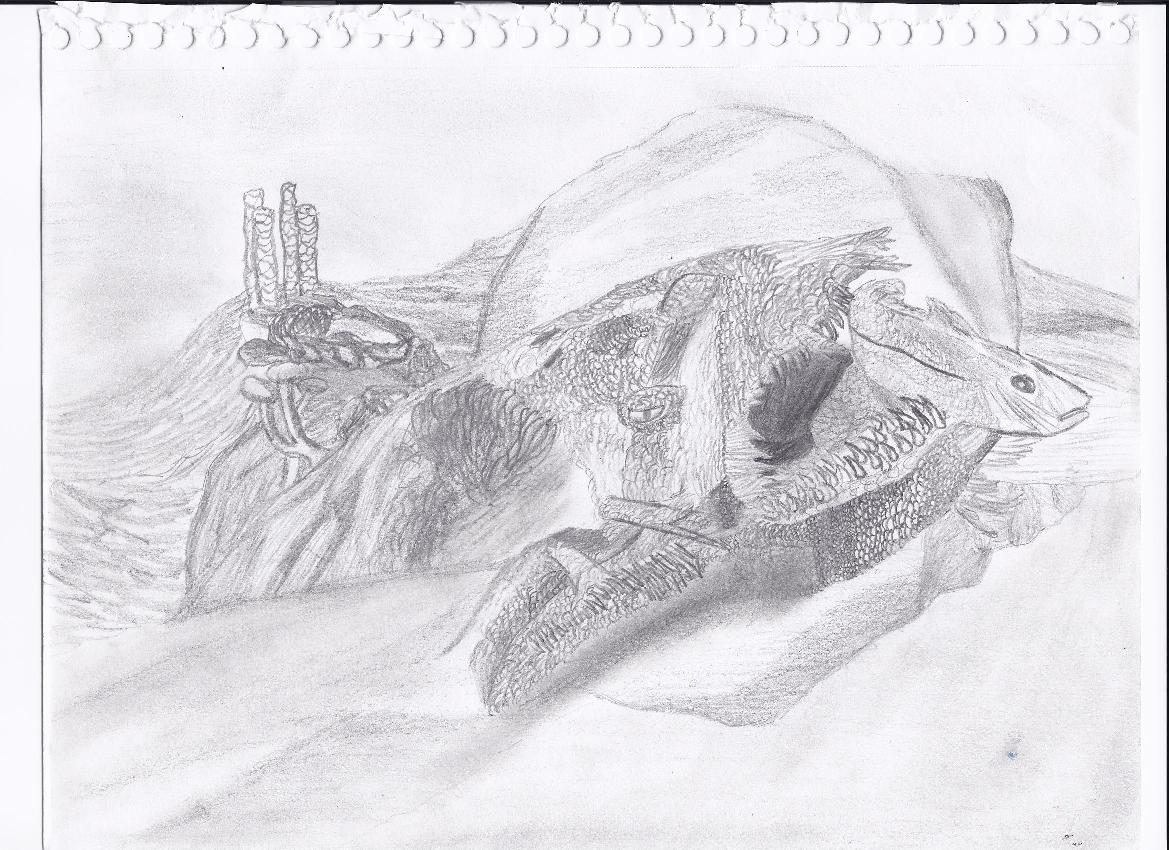 A wobbegong, drew it during a study block in 30 minutes.