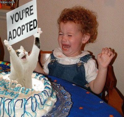 adopted