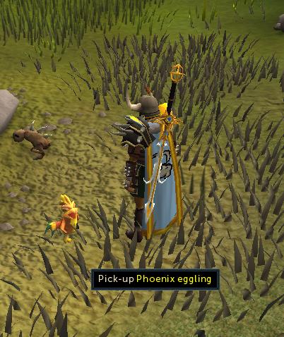 After completing the Phoenix Lair on the 87th day of attempt, I finally acquired the rare phoenix eggling pet. :D

Out of the cute or mean options,