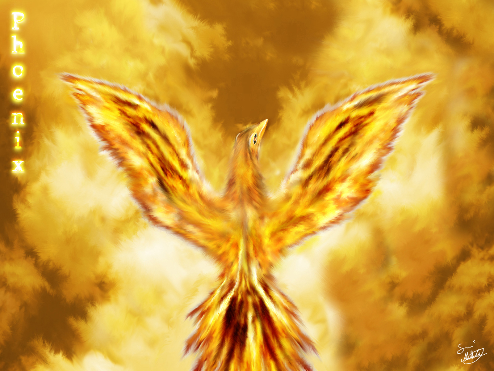 Again, Phoenix aren't animals, but i liked the pic