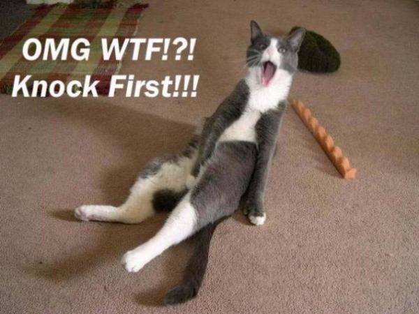ah that must have hurt