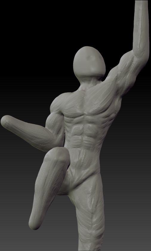 Anatomy Practice