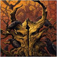 ancient skull