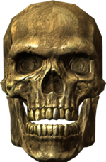 Ancient traveler's skull