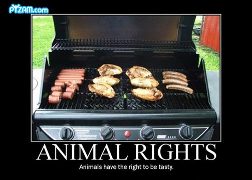 animal rights