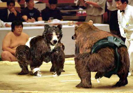 animalolympicscrazy08lj8