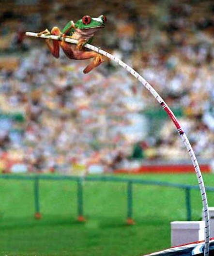 animalolympicscrazy10uu9