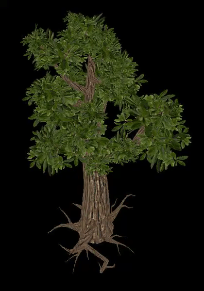 Animated Tree Version 2