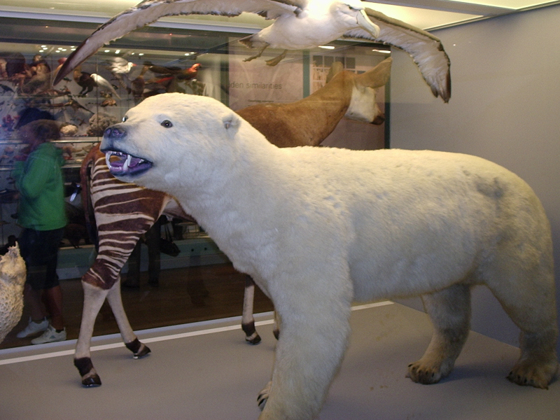 Art centre animal area.