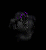 avatar217850 4