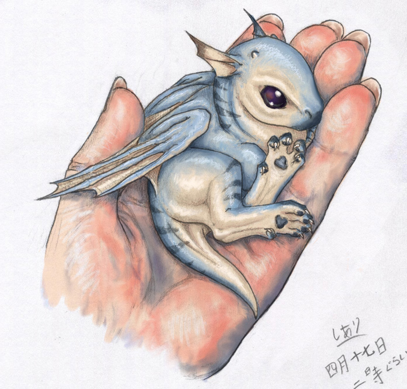 BabyDragon
