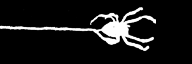 BackgroundBox2