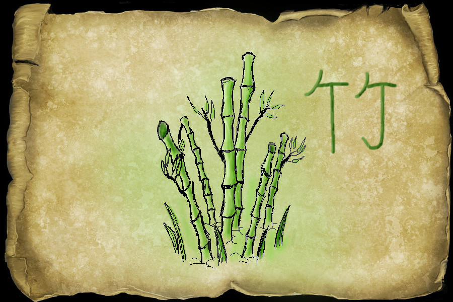 Bamboo
