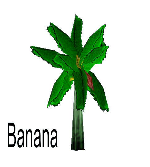 Banana