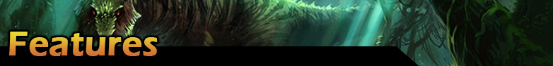 Banner: Features