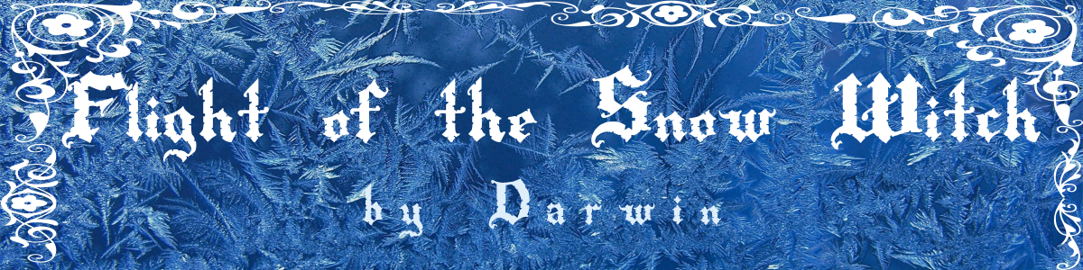 BannerSnowWitch