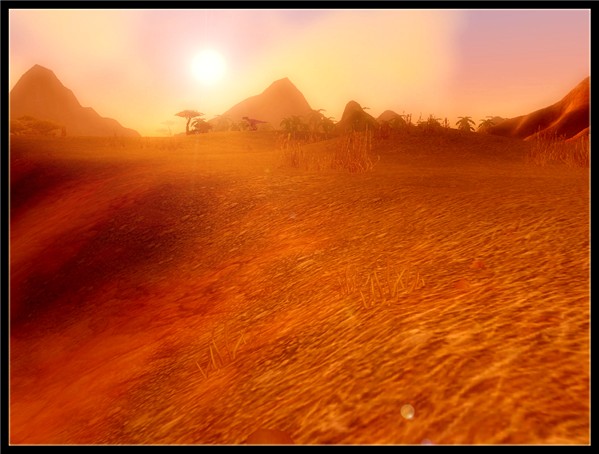 Barrens Pic