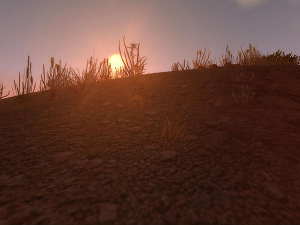 Barrens Sun over the Hill