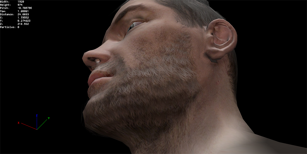 Beard