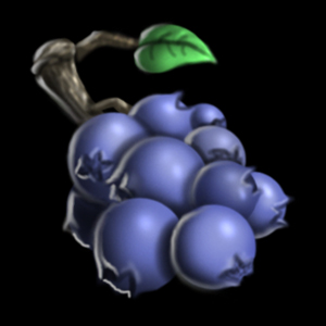 Berries