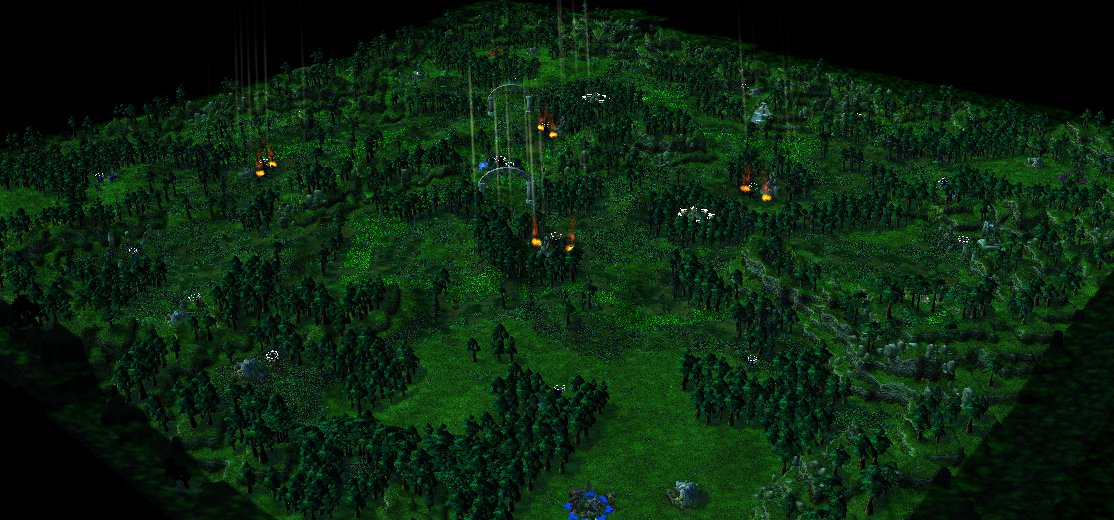Bewitched Forest angled view