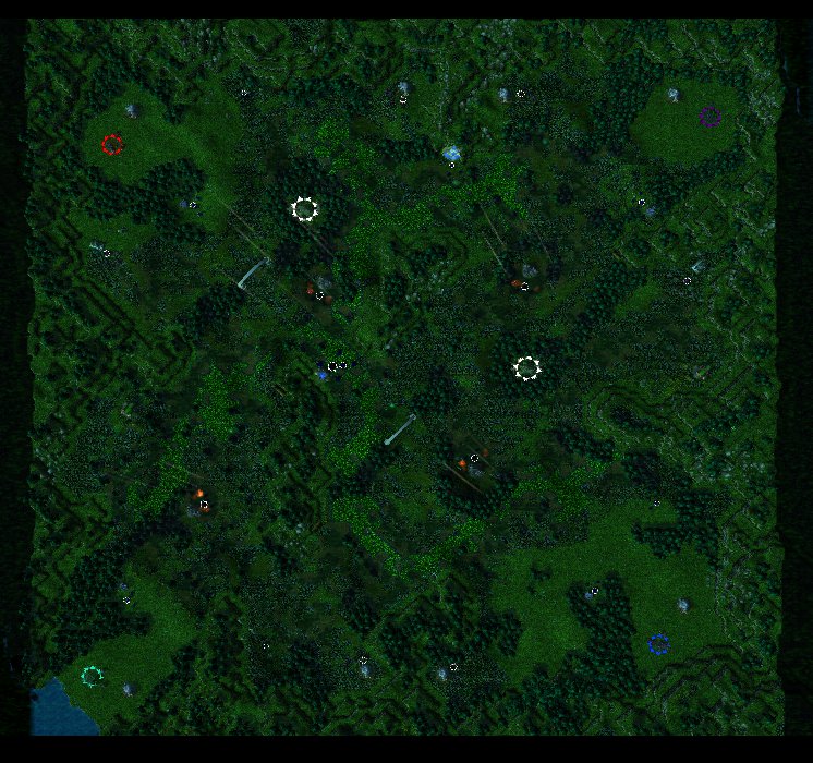 BewitchedForest