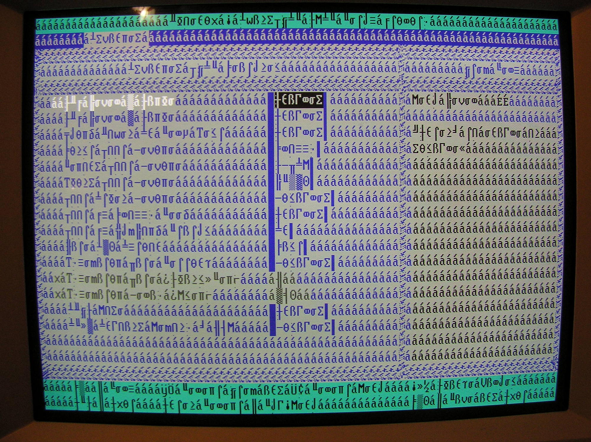 BIOS Moonrunes

When your BIOS looks like this you *might* have a small problem...