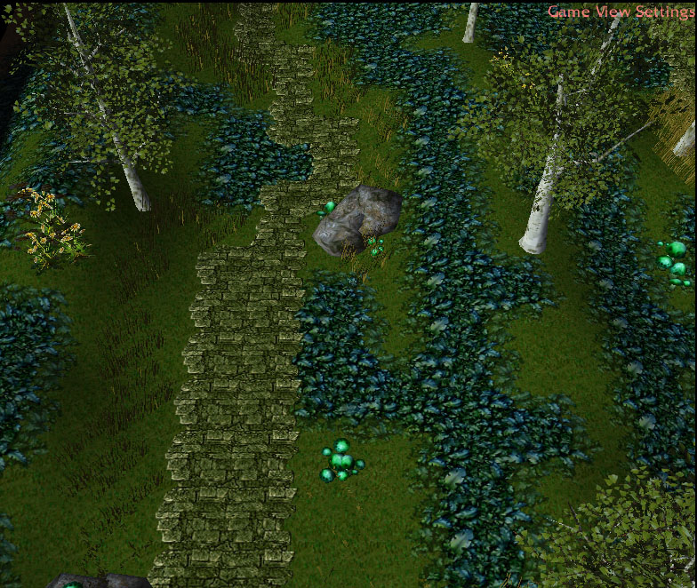 BirchGarden1