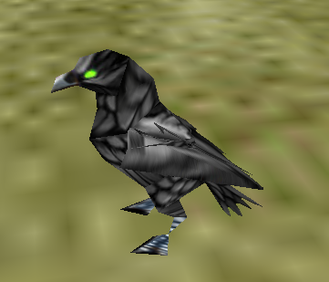 Bird