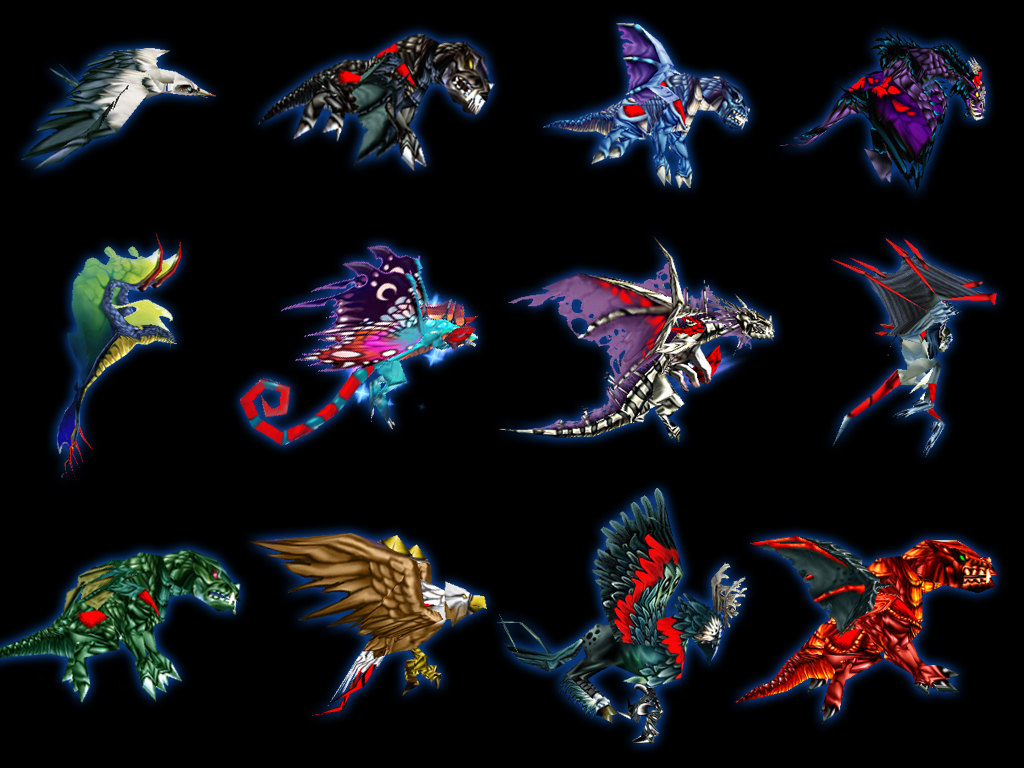 birds