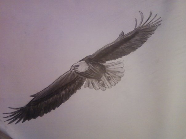 birdy