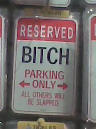 Bitch